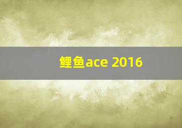 鲤鱼ace 2016